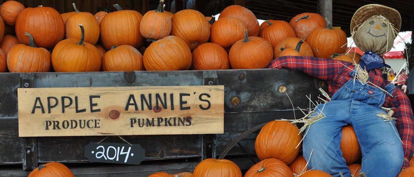 Apple Annie's Produce & Pumpkins
