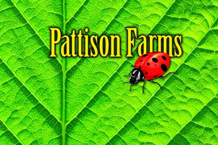 Pattison Farms (BC)