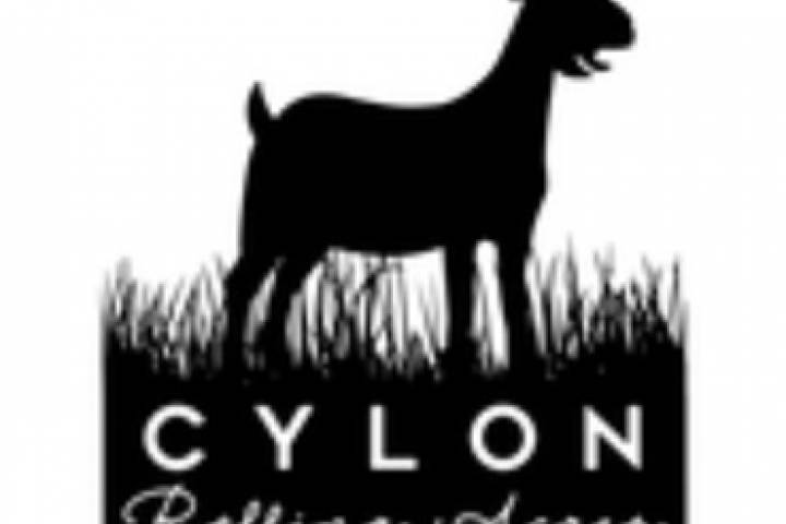 Cylon Rolling Acres pasture raised goat meat